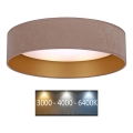 Brilagi - LED Ceiling light VELVET LED/12W/230V d. 30 cm 3000K/4000K/6400K beige/gold