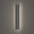 Brilagi - LINEAR LED Outdoor Wall Light, 12W, 230V, 4000K, IP65, 50 cm, Anthracite, CRI 90